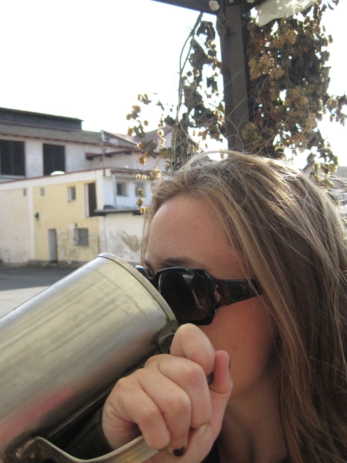 drinking beer in prague