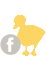 Like on Facebook