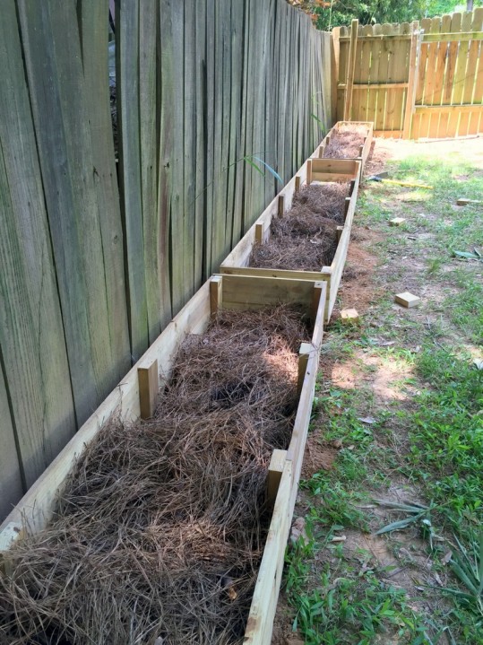 Lasagna Gardening How to Layer a Raised Garden Bed