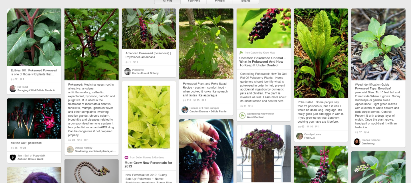 This is Awesome. • Ugly Duckling House