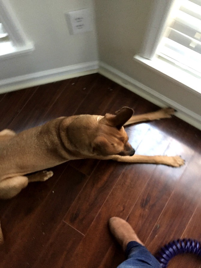 charlie always in the way