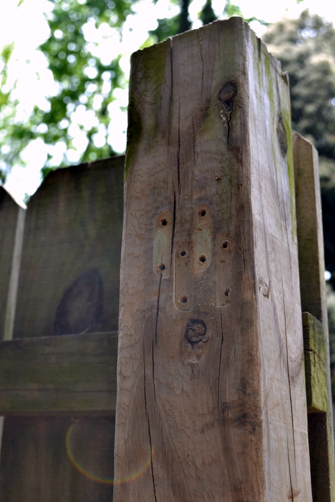 How to Install a SelfAdjusting Gate Latch • Ugly Duckling House