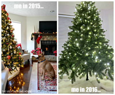 My Nearly-Nude Tree • Ugly Duckling House