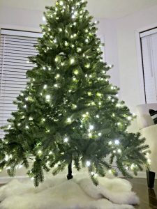 My Nearly-Nude Tree • Ugly Duckling House