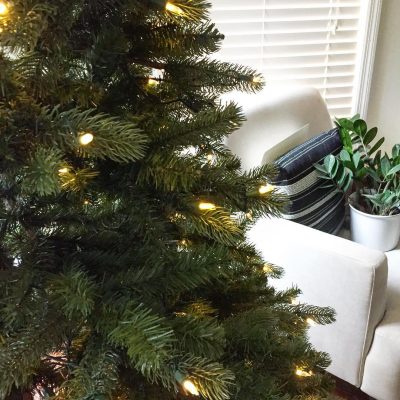 My Nearly-Nude Tree • Ugly Duckling House