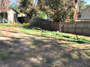 Overseeding the Lawn & Preparing the Yard for Fall | Ugly Duckling House