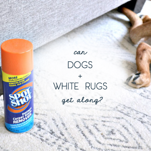 3 Shortcuts to Keep a White Rug Clean • Ugly Duckling House