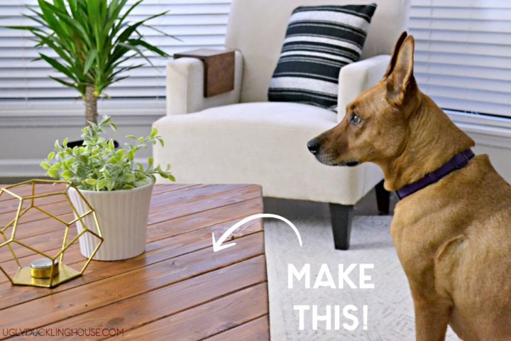 My 15-Minute DIY Hairpin Leg Coffee Table • Ugly Duckling House