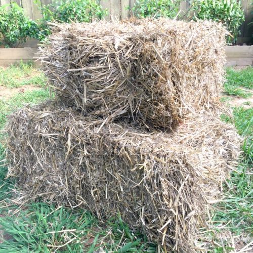 Overseeding The Lawn and Preparing for Fall