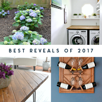 Best Reveals of 2017