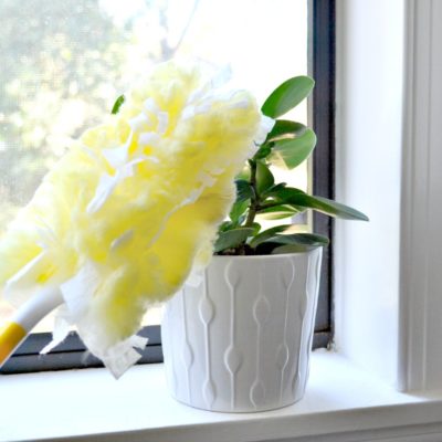How I Keep Houseplants Healthy and Make Leaves Shine