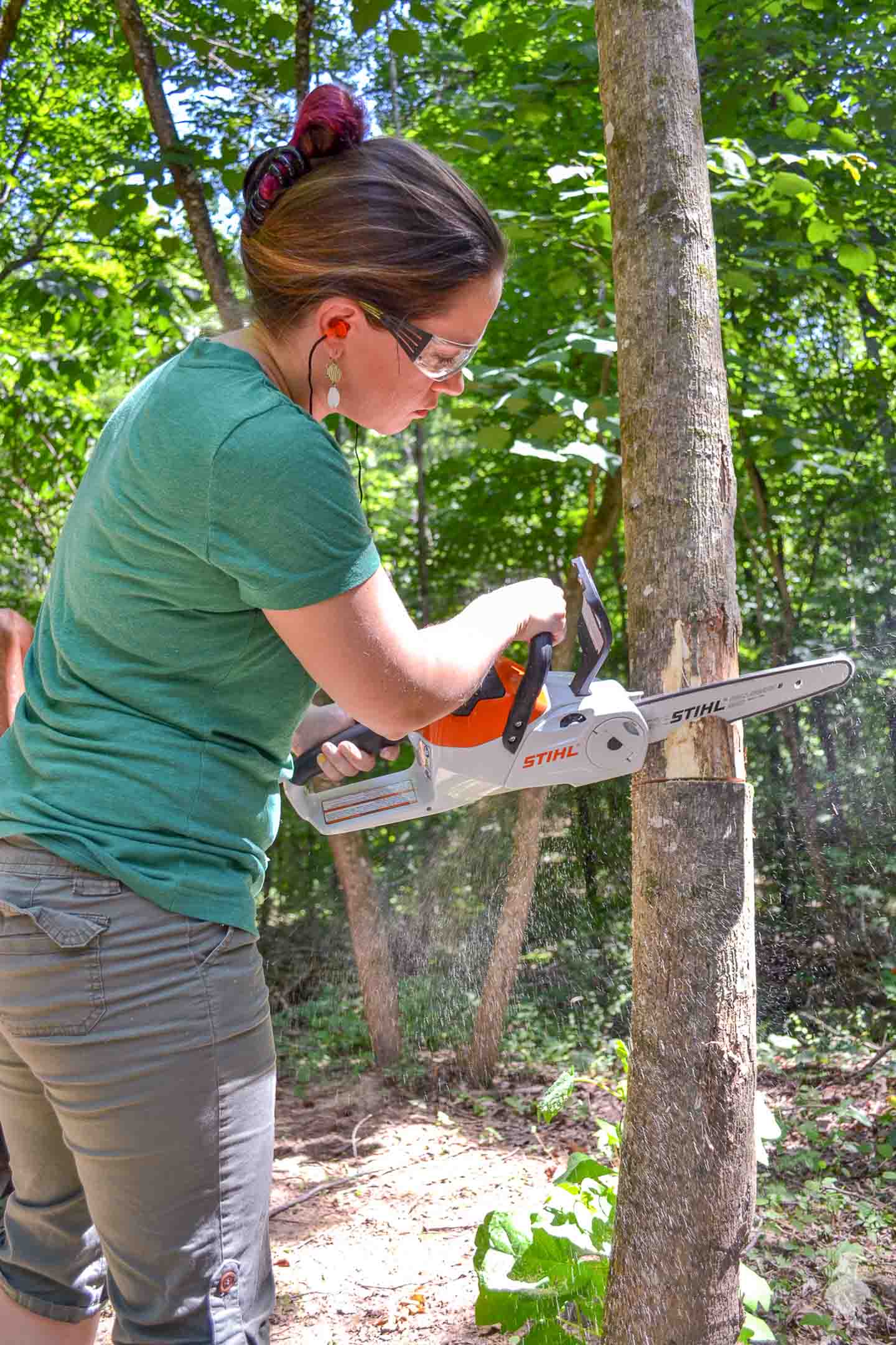How To Cut Down A Small Tree Ugly Duckling House