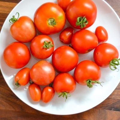 First Summer Garden Harvest | Sneak Peek of Pub Shed