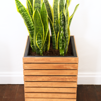 5 Modern (and Totally Doable) Woodworking Projects to Tackle This Fall