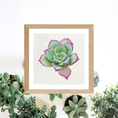 succulent cross stitch pattern by Ugly Duckling House