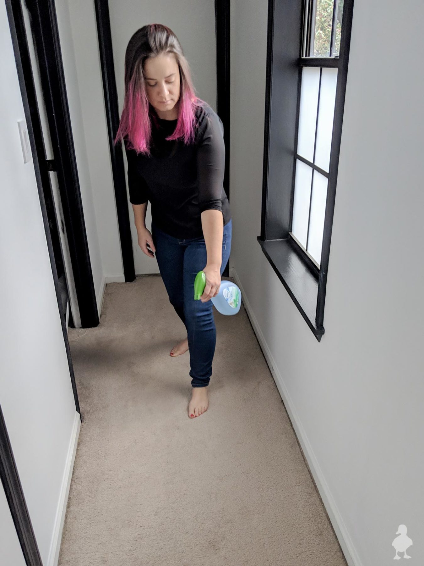 use febreeze to freshen and spray carpet