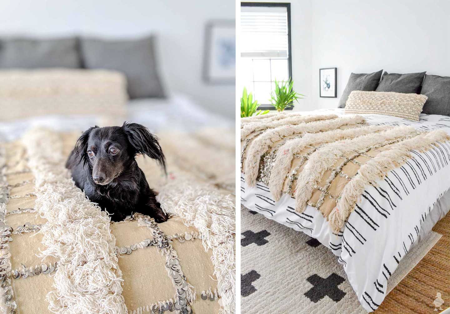 cute dog on white bedding