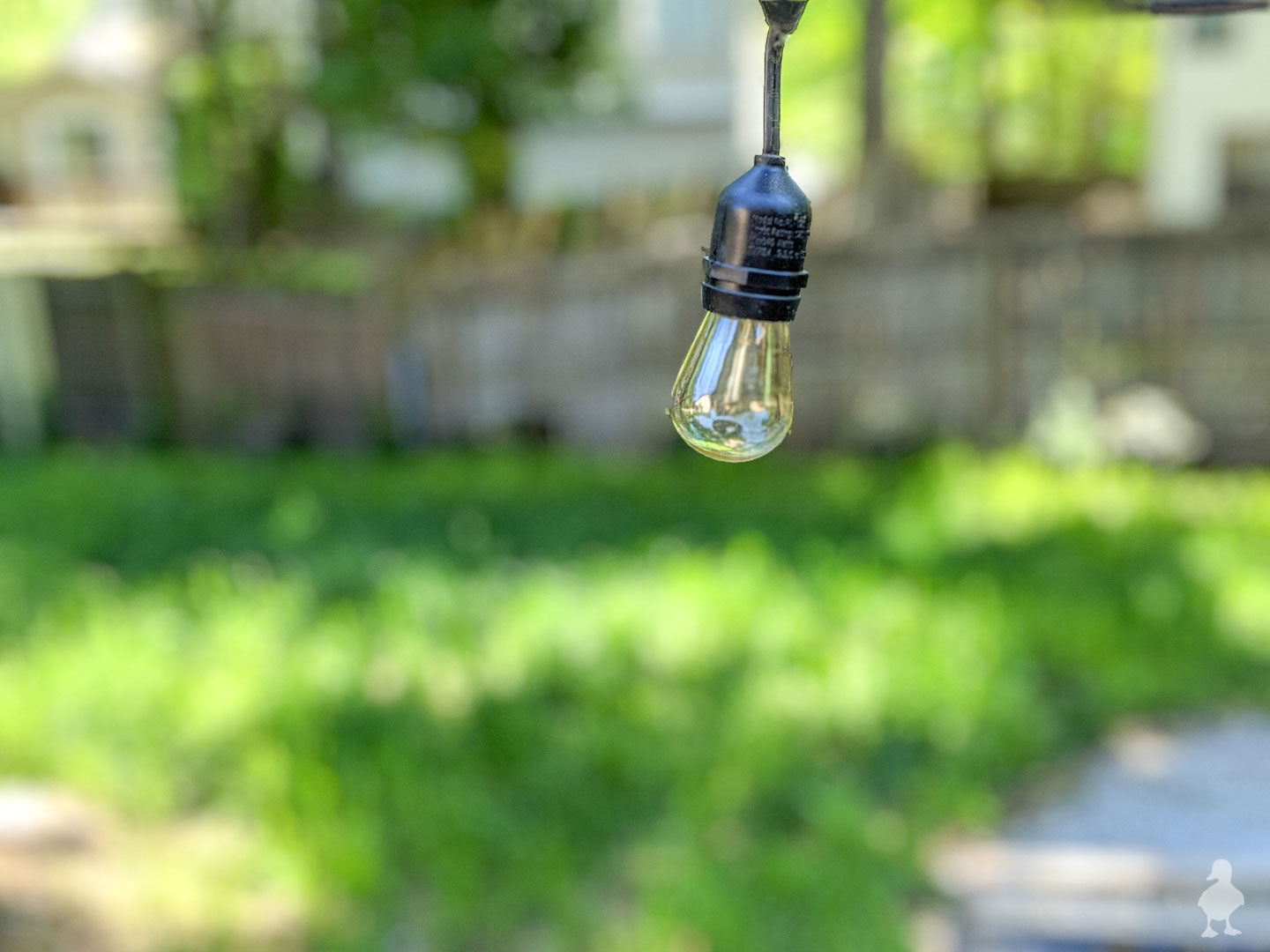 back yard grass with outdoor light