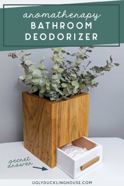 DIY Beautiful and Non-Toxic Bathroom Deodorizer • Ugly Duckling House