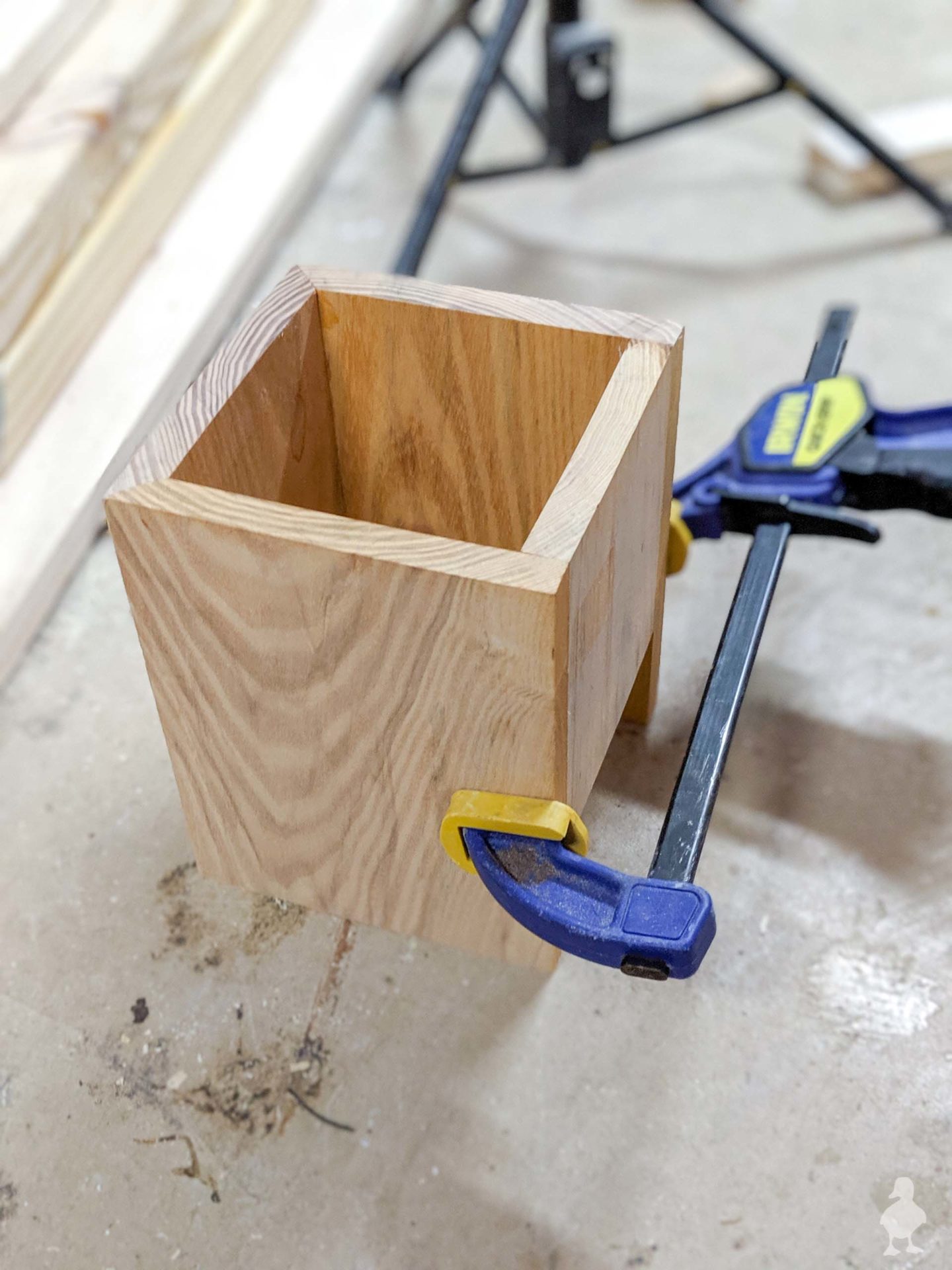 glue and clamp back side