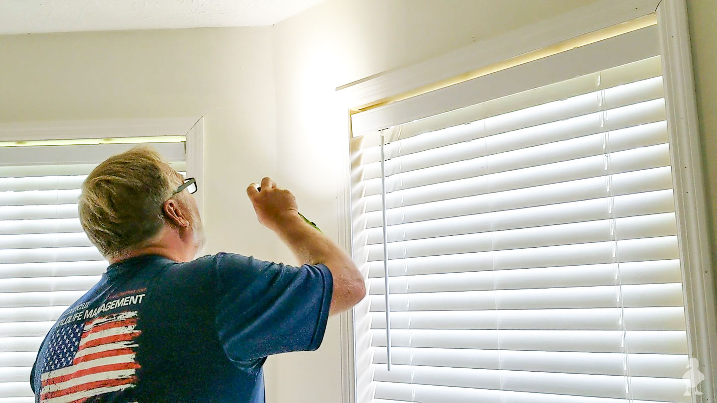 American Pest Control inspecting inside of house and drywall