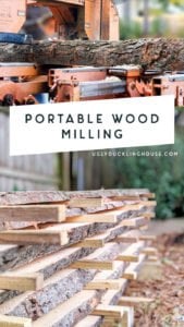 Stealing My Neighbor's Tree: Portable Wood Milling! • Ugly Duckling House
