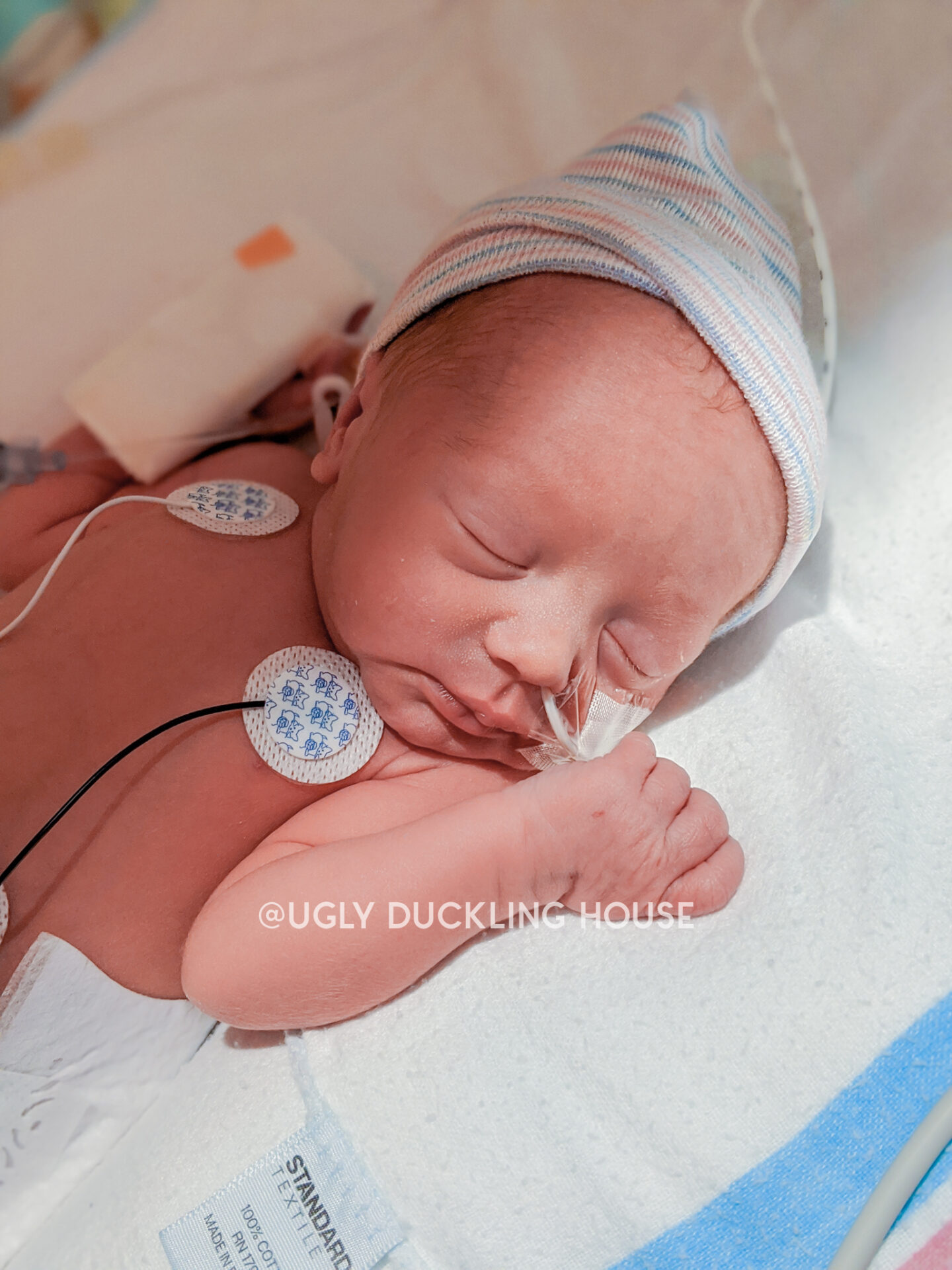 Ellis spending 1 day old