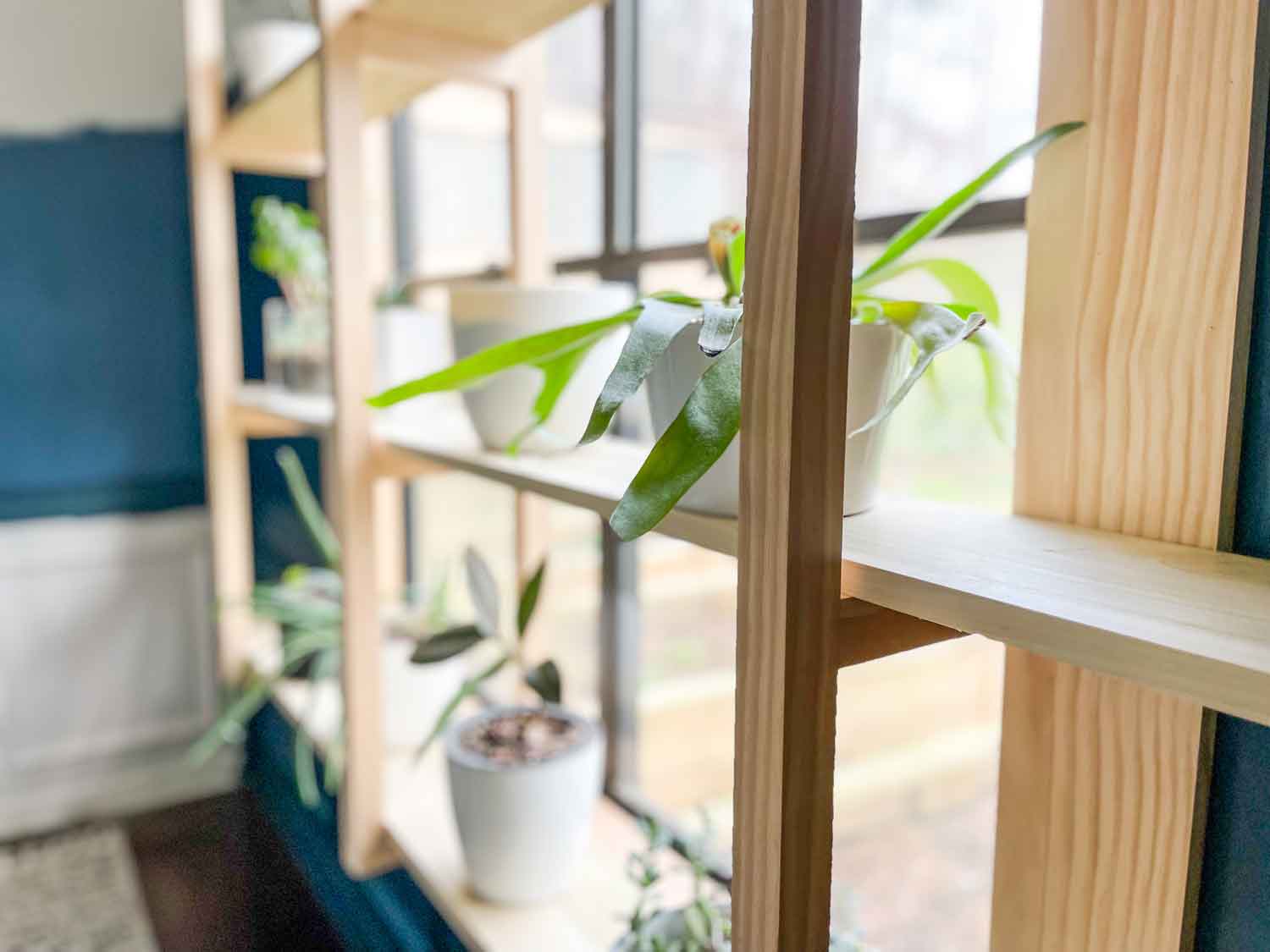 DIY Plant Shelves That Fit Right in the Window • Ugly Duckling House